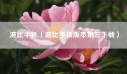 波比手机（波比手机版本第三下载）
