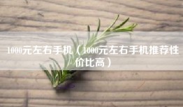 1000元左右手机（1000元左右手机推荐性价比高）