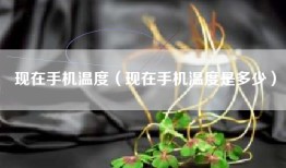 现在手机温度（现在手机温度是多少）