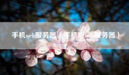 手机web服务器（手机版web服务器）