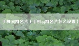 手机QQ群名片（手机qq群名片怎么设置）