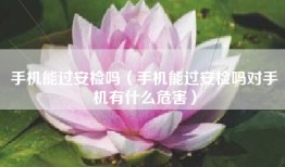 手机能过安检吗（手机能过安检吗对手机有什么危害）
