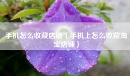 手机怎么收藏店铺（手机上怎么收藏淘宝店铺）