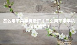 怎么用苹果手机录屏（怎么用苹果手机录屏教程）
