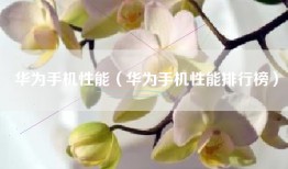 华为手机性能（华为手机性能排行榜）