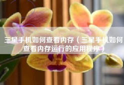 三星手机如何查看内存（三星手机如何查看内存运行的应用程序）