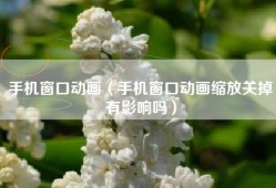 手机窗口动画（手机窗口动画缩放关掉有影响吗）