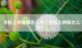 手机上网很慢怎么办（手机上网慢怎么办？）