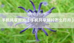 手机共享照片（手机共享照片怎么打开）