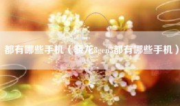 都有哪些手机（骁龙8gen3都有哪些手机）