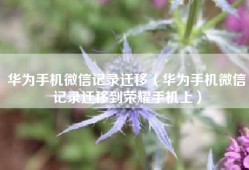 华为手机微信记录迁移（华为手机微信记录迁移到荣耀手机上）