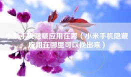小米手机隐藏应用在哪（小米手机隐藏应用在哪里可以找出来）