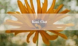 Kimi Chat