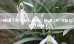 移动手机卡怎么补办（移动手机卡怎么补办原号）