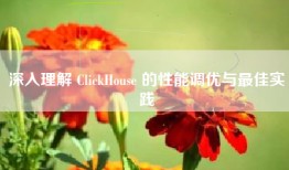 深入理解 ClickHouse 的性能调优与最佳实践