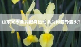 山东冬季全民健身运动会为何越办越火？
