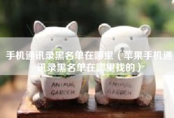 手机通讯录黑名单在哪里（苹果手机通讯录黑名单在哪里找的）
