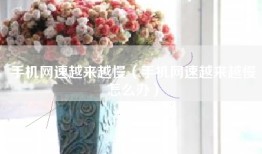 手机网速越来越慢（手机网速越来越慢怎么办）