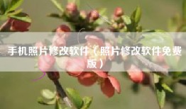 手机照片修改软件（照片修改软件免费版）