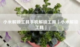 小米解锁工具手机解锁工具「小米解锁工具」
