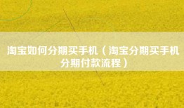 淘宝如何分期买手机（淘宝分期买手机分期付款流程）