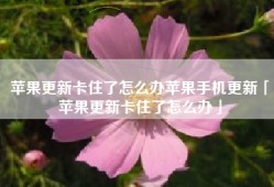 苹果更新卡住了怎么办苹果手机更新「苹果更新卡住了怎么办」