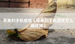 苹果的手机壁纸（苹果的手机壁纸怎么删除掉）
