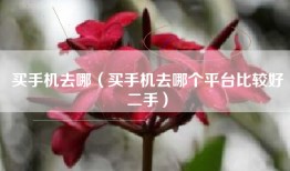 买手机去哪（买手机去哪个平台比较好二手）
