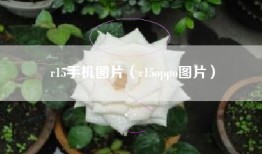r15手机图片（r15oppo图片）