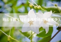 马云手机（马云手机号码公开是多少）