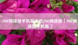 PDF阅读器手机版手机PDF阅读器「PDF阅读器手机版」