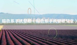 暗色系手机壁纸（暗色系手机壁纸女生）