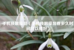 手机换触摸屏（手机换触摸屏要多久时间可以修好）