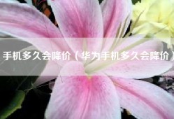 手机多久会降价（华为手机多久会降价）