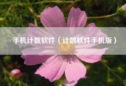 手机计数软件（计数软件手机版）