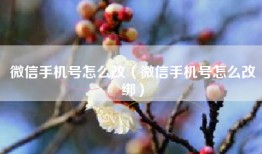 微信手机号怎么改（微信手机号怎么改绑）