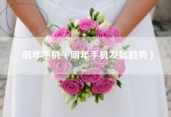 明年手机（明年手机发展趋势）