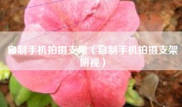 自制手机拍摄支架（自制手机拍摄支架俯视）