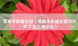 苹果手机提示音（苹果手机提示音太大声了,怎么调小点）