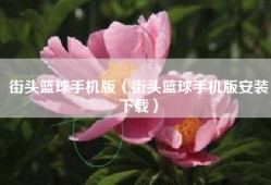 街头篮球手机版（街头篮球手机版安装下载）