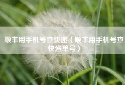 顺丰用手机号查快递（顺丰用手机号查快递单号）