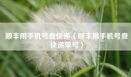 顺丰用手机号查快递（顺丰用手机号查快递单号）