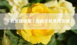 手机免提设置（智能手机免提在哪）