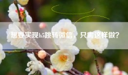 想要实现h5跳转微信，只需这样做？