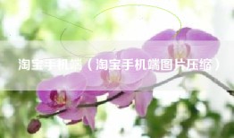 淘宝手机端（淘宝手机端图片压缩）