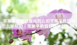 苹果手机背景虚化怎么拍苹果手机拍照怎么是反的「苹果手机背景虚化怎么拍」