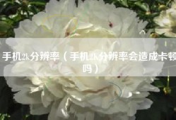 手机2k分辨率（手机2K分辨率会造成卡顿吗）