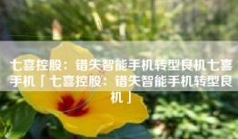 七喜控股：错失智能手机转型良机七喜手机「七喜控股：错失智能手机转型良机」