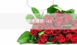 变速精灵  v3.1