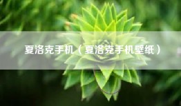 夏洛克手机（夏洛克手机壁纸）